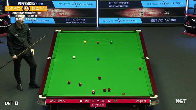 每年的比赛 每年的比赛